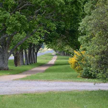 Tower Road Motel Matamata Εξωτερικό φωτογραφία