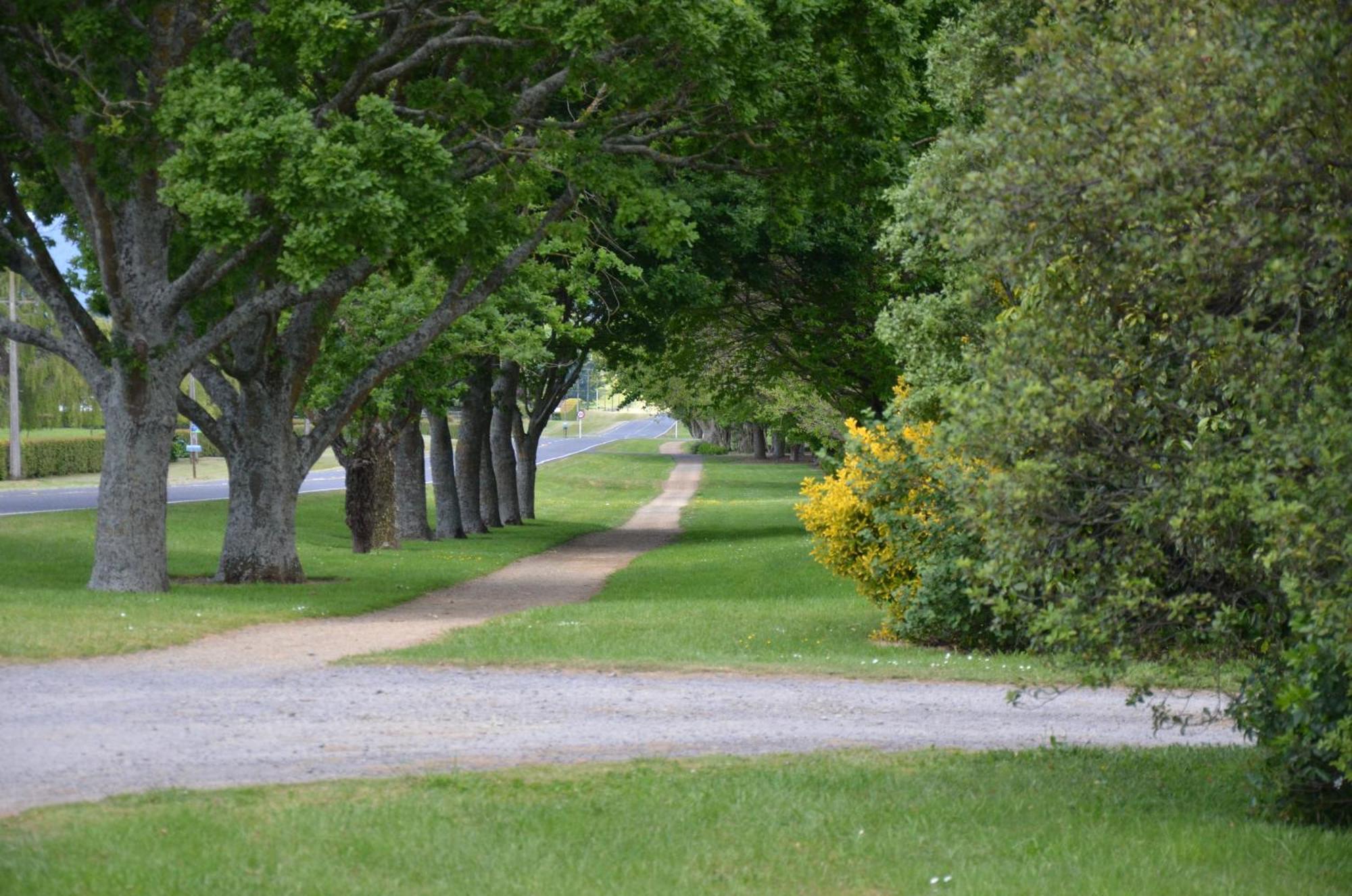 Tower Road Motel Matamata Εξωτερικό φωτογραφία