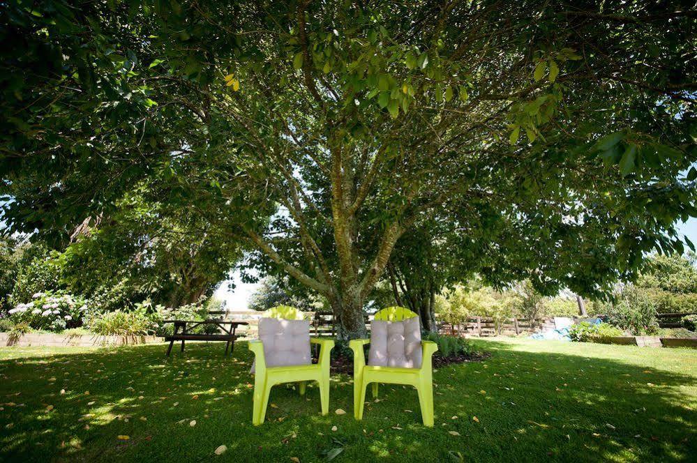 Tower Road Motel Matamata Εξωτερικό φωτογραφία